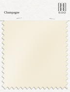 BUQIQI  Fabric Color Swatches -Champagne