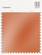BUQIQI  Fabric Color Swatches -Cinnamon