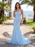 Sky Blue Tulle Mermaid Scoop Neck Neck Lace-up Floor-Length Dress with Lace Appliques