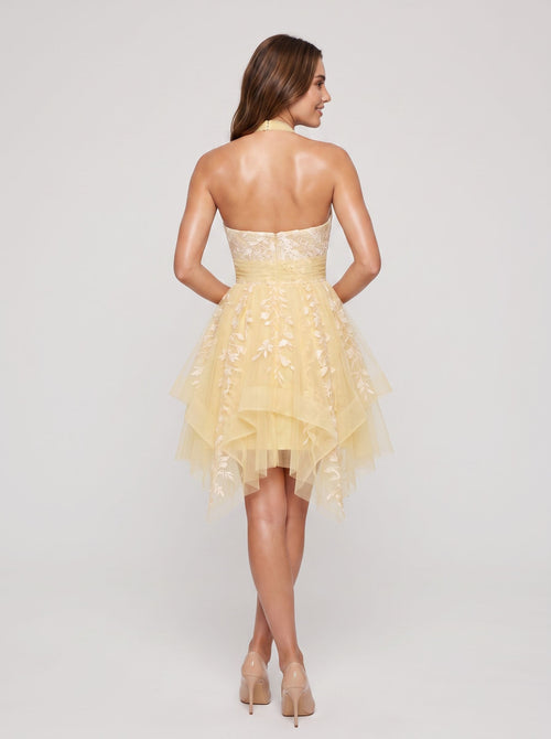 Butter Tulle A-Line Halter neckline Back Zip Asymmetrical Dress with Applique