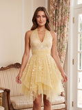 Butter Tulle A-Line Halter neckline Back Zip Asymmetrical Dress with Applique