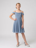 Dusty Blue Chiffon A-Line Off-the-Shoulder Back Zip Floor-Length Dress with Pleated Bodice
