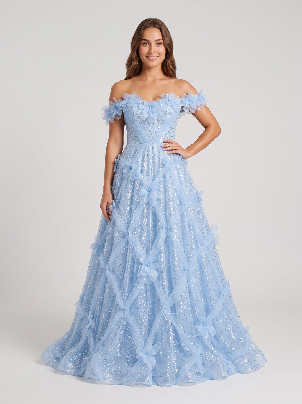 Mist Tulle A-Line Off-the-Shoulder Lace-up Floor-Length Dress with 3D Floral Appliques
