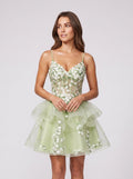 Mint Green Tulle A-Line Sweetheart Back Zip Short Dress with Floral Appliques