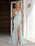 Mint Green Tulle Mermaid Sweetheart Backless Floor-Length Dress with Lace Applique