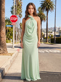 Dusty Sage Chiffon Column  Halter Neckline Backless Floor-Length Dress with Rose Applique