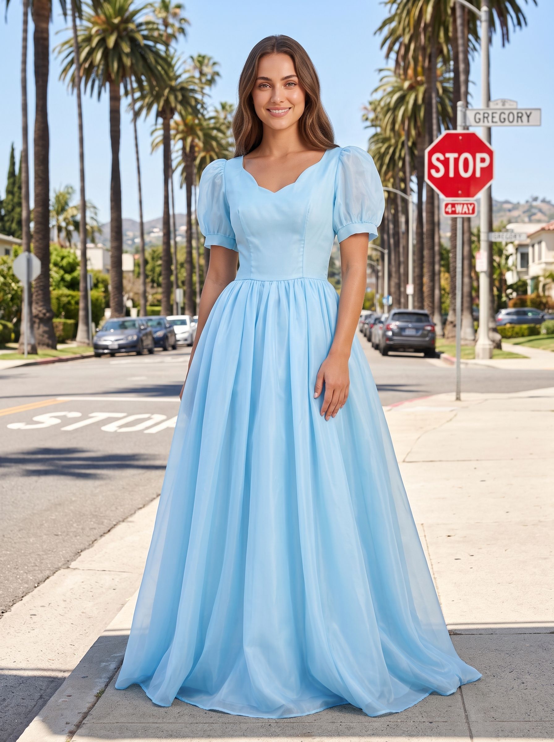 Sky Blue Chiffon A-Line Sweetheart Back Zip Floor-Length Dress with Pleated Bodice